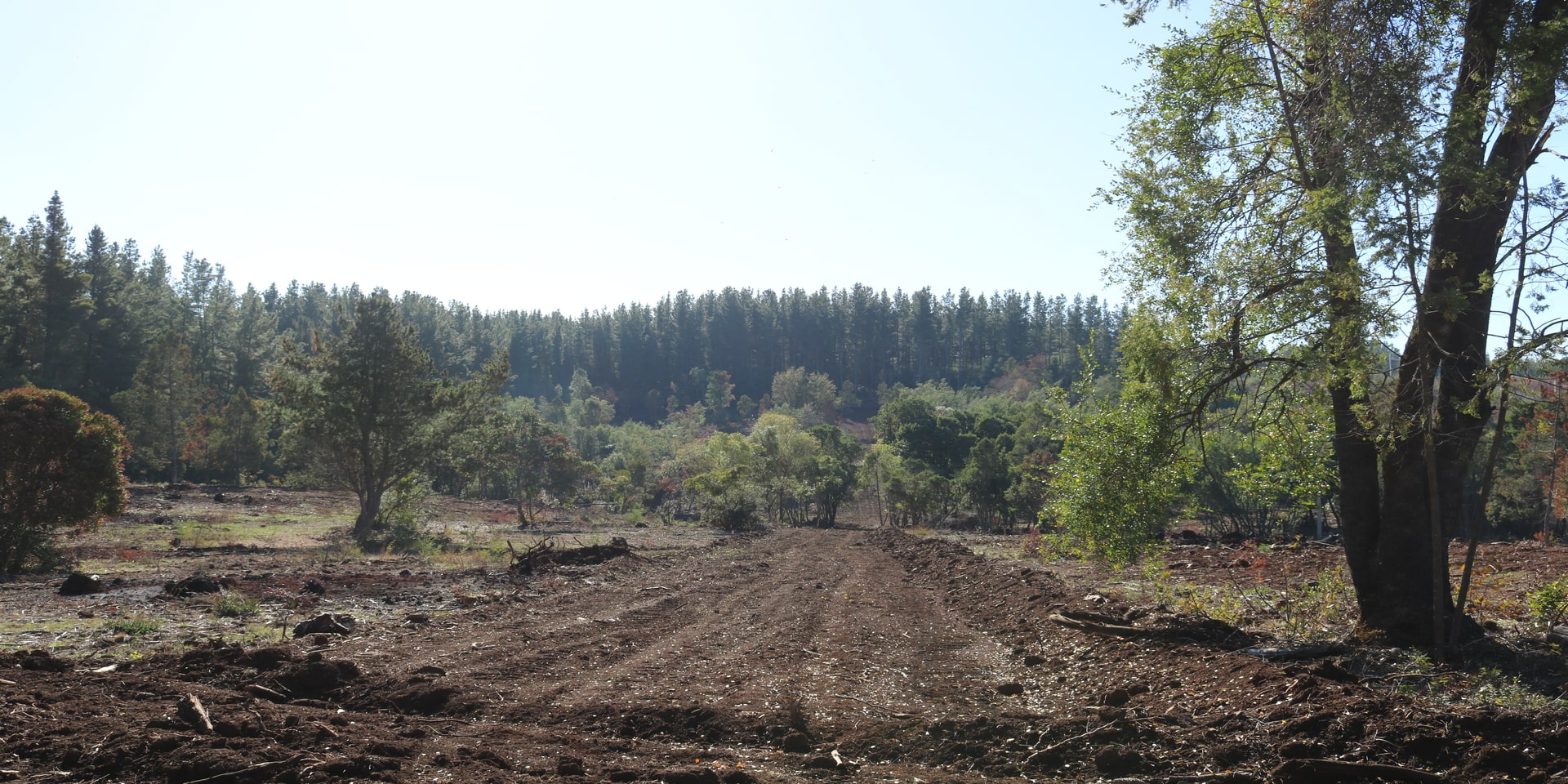 Aires del Monte
