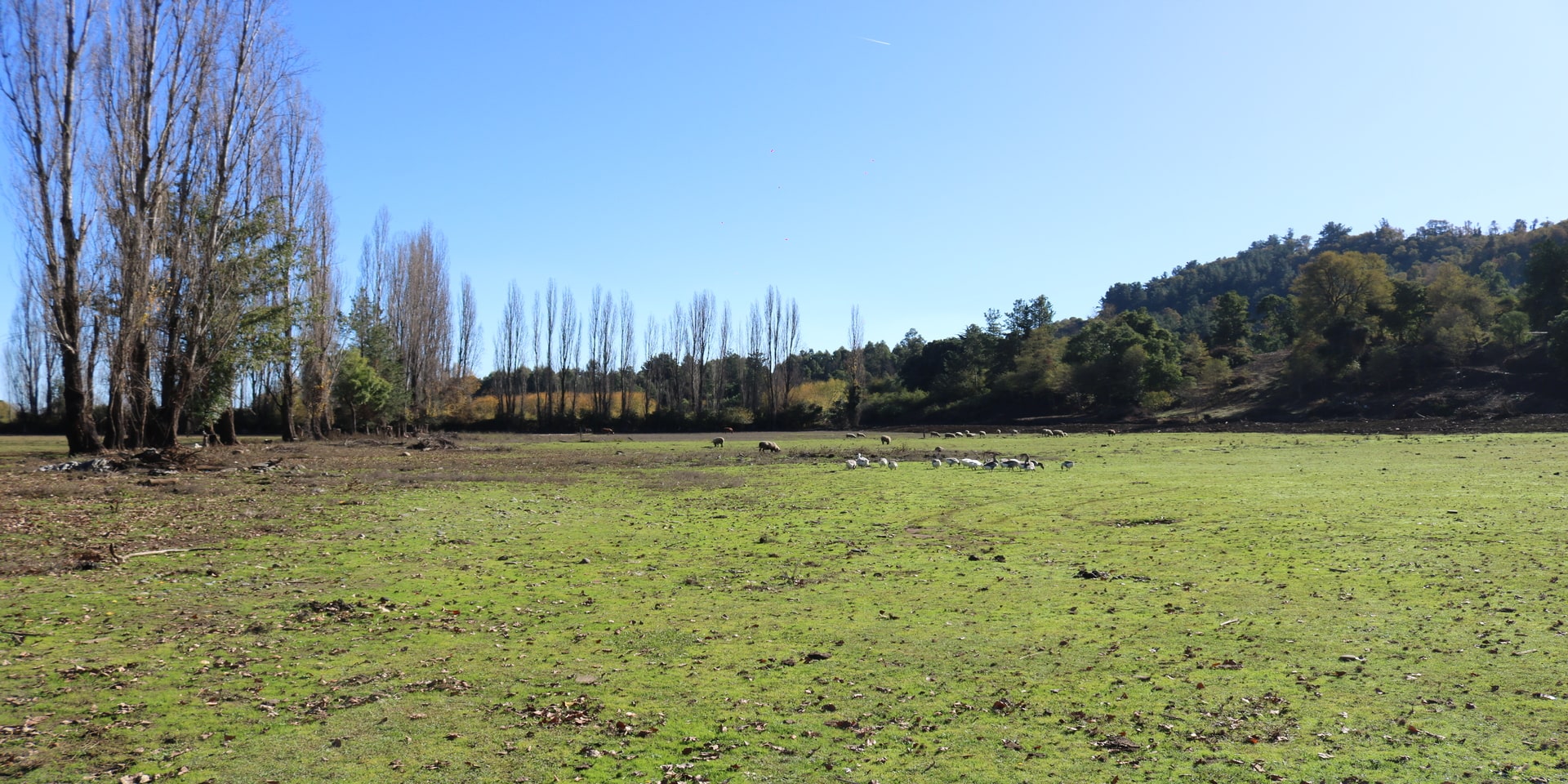 Brisas de Santa Bárbara