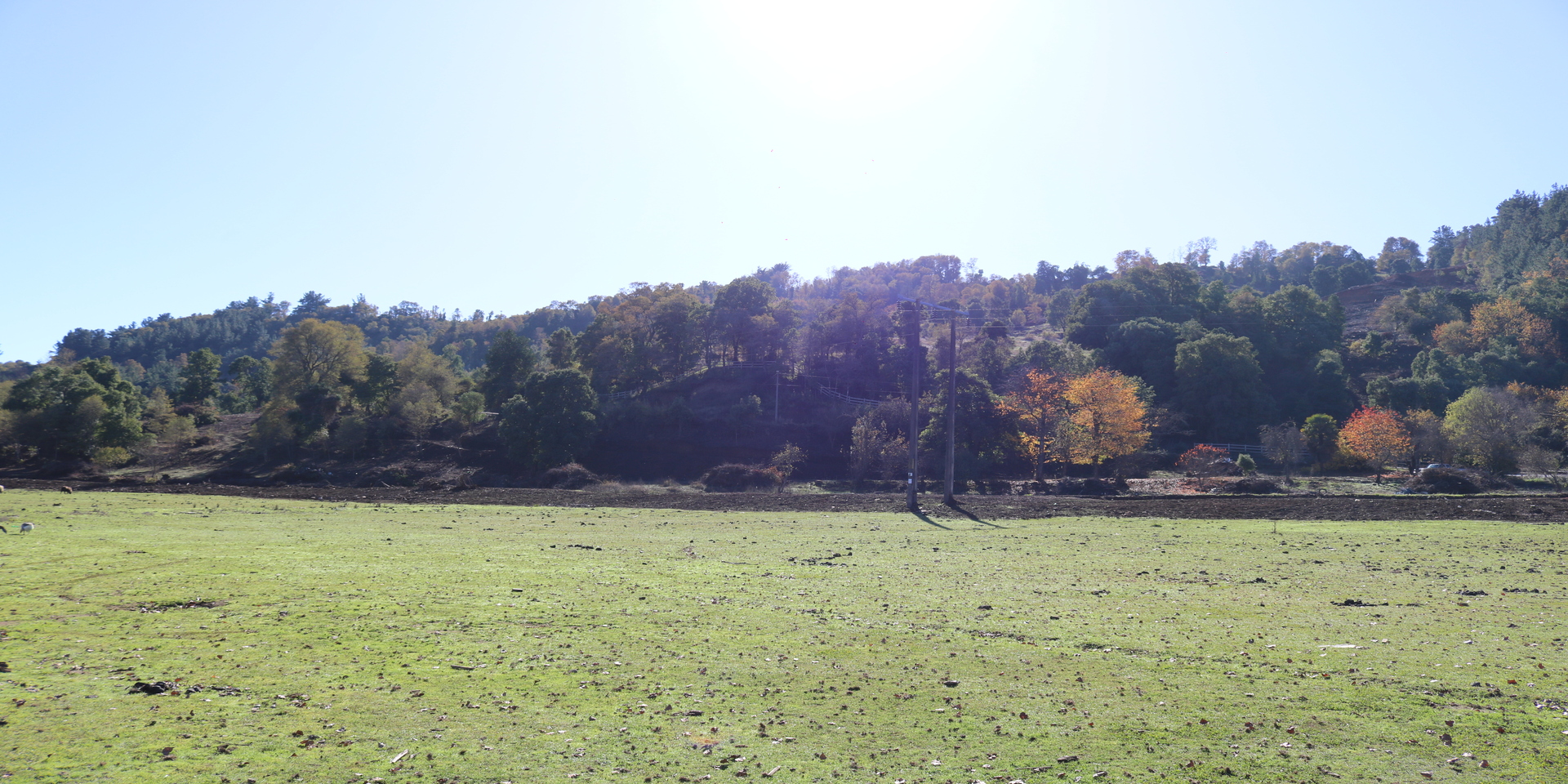 Brisas de Santa Bárbara