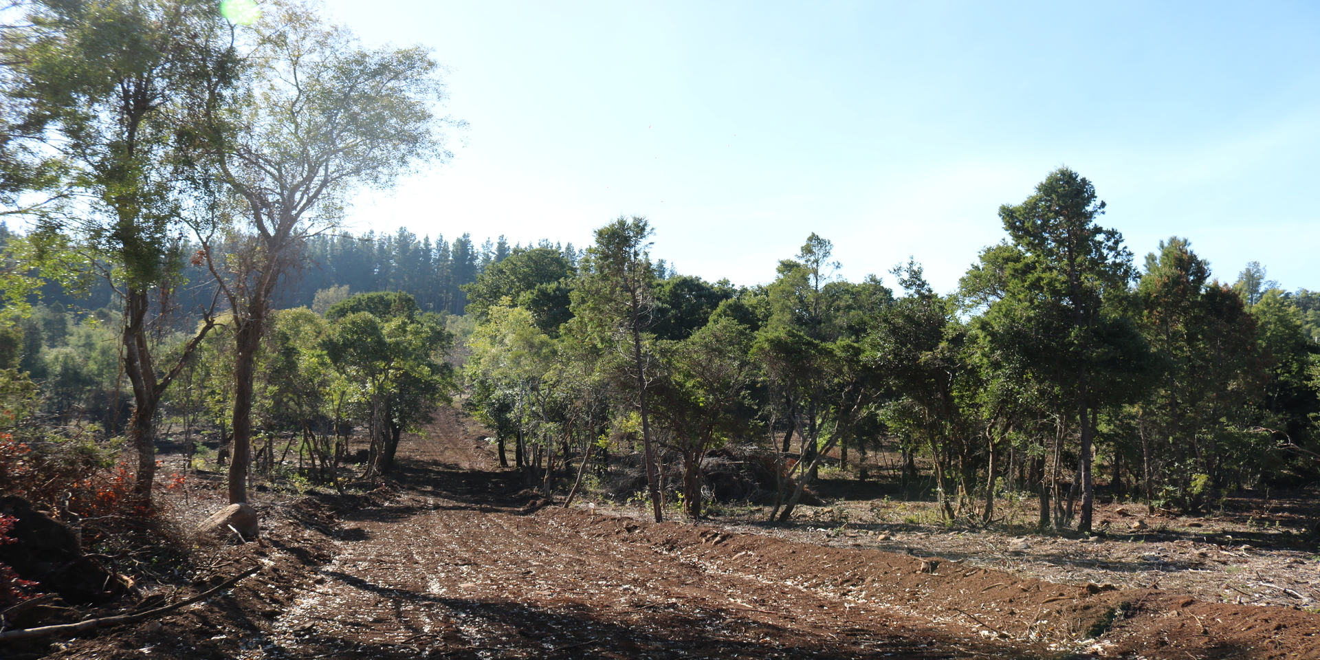 Aires del Monte